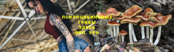 гашишное масло Абаза